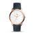 Ceas Fossil Minimalist FS5371
