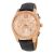 Ceas Michael Kors Lexington MK8516