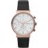 Ceas Skagen Ancher SKW6371