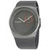 Ceas Skagen Havene SKW6416