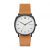 Ceas Skagen Rungsted SKW6379