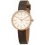 Ceas Skagen Signatur SKW2644