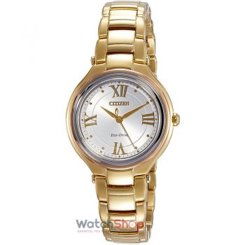 Ceas Citizen Eco Drive FE2043-52A