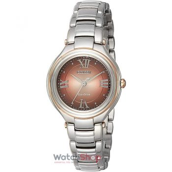 Ceas Citizen Eco Drive FE2047-51W