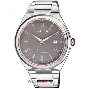 Ceas Citizen Eco Drive FE6026-50H