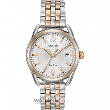 Ceas Citizen LTR FE6086-74A Eco Drive