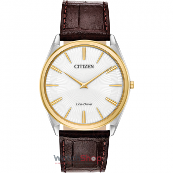 Ceas Citizen Stiletto AR3074-03A Eco Drive