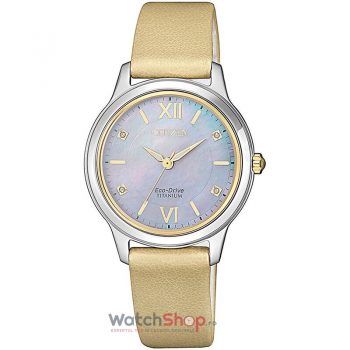 Ceas Citizen TITAN EM0724-17Y
