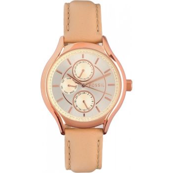 Ceas Fossil BQ1586