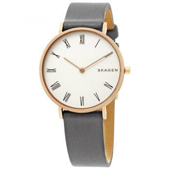 Ceas Skagen Hald SKW2674