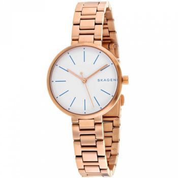 Ceas Skagen Signatur SKW2619