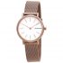 Ceas Skagen Signatur SKW2694