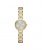 Ceas DKNY Stanhope NY2399