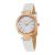 Ceas DKNY Stanhope NY2405