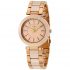 Ceas DKNY Stanhope NY2461