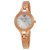 Ceas Emporio Armani AR7329