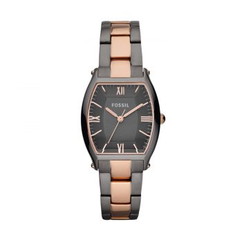Ceas Fossil ES3059