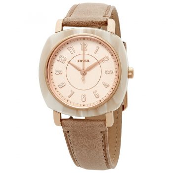 Ceas Fossil Idealist ES4282