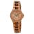 Ceas Michael Kors Camille MK4289