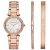 Ceas Michael Kors Delray MK3506