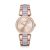 Ceas Michael Kors Delray MK4319