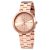 Ceas Michael Kors Garner MK6409