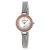 Ceas Skagen 323SSR