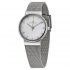 Ceas Skagen Ancher SKW2195