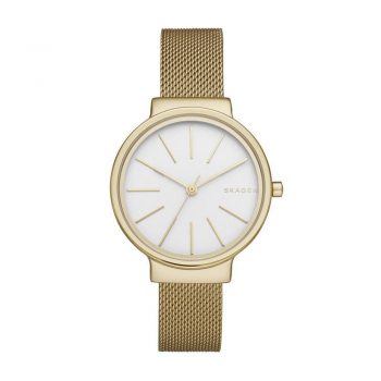 Ceas Skagen Ancher SKW2477