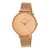 Ceas Skagen Ditte SKW2334