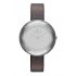 Ceas Skagen Gitte SKW2274