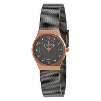 Ceas Skagen Grenen SKW2270