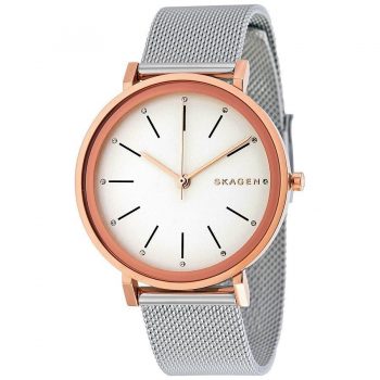Ceas Skagen Hald SKW2506