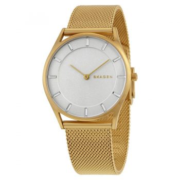 Ceas Skagen Holst SKW2377