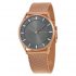 Ceas Skagen Holst SKW2378