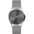 Ceas Skagen Jorn SKW6368