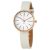 Ceas Skagen Signature SKW2595