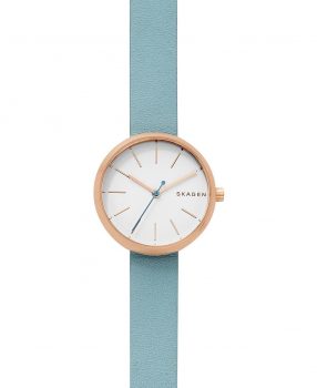 Ceas Skagen Signature SKW2621