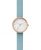 Ceas Skagen Signature SKW2621