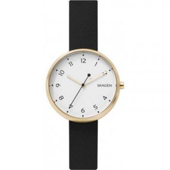 Ceas Skagen Signature SKW2626