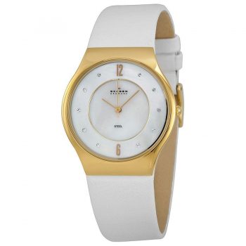 Ceas Skagen SKW2027