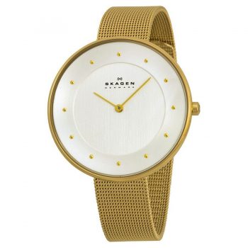 Ceas Skagen SKW2141