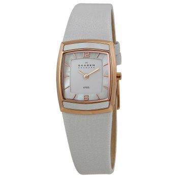Ceas Skagen Steel 855SRLW1