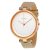 Ceas Skagen Tanja SKW2484