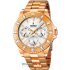 Ceas Festina SPORT F16789/1