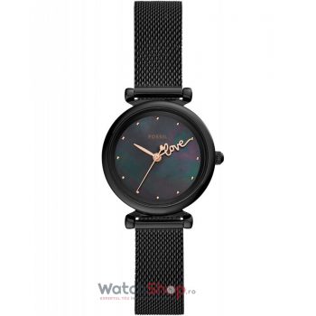 Ceas Fossil CARLIE ES4829 Mini